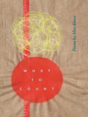 cover image of What to Count